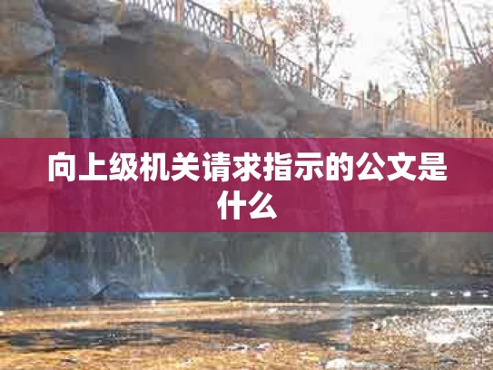向上级机关请求指示的公文是什么
