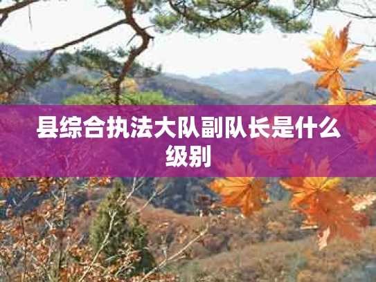 县综合执法大队副队长是什么级别