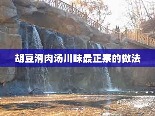 胡豆滑肉汤川味最正宗的做法