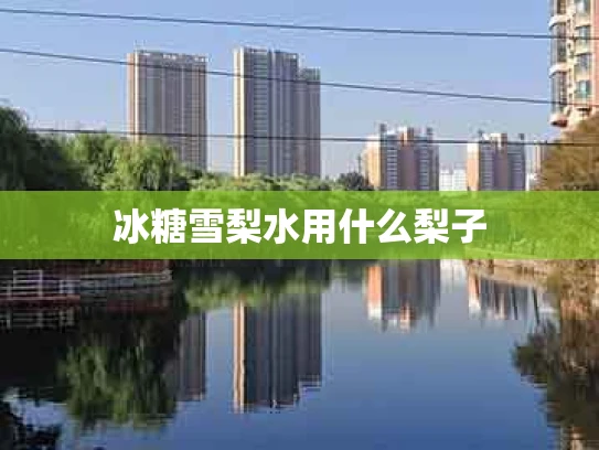 冰糖雪梨水用什么梨子