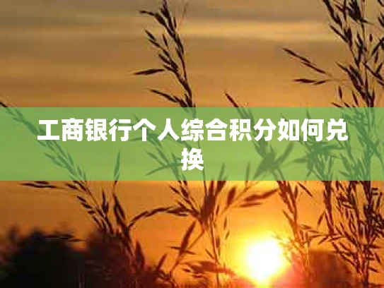 工商银行个人综合积分如何兑换