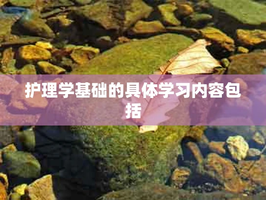 护理学基础的具体学习内容包括