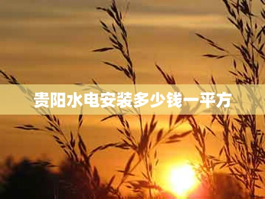 贵阳水电安装多少钱一平方