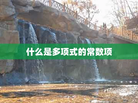 什么是多项式的常数项