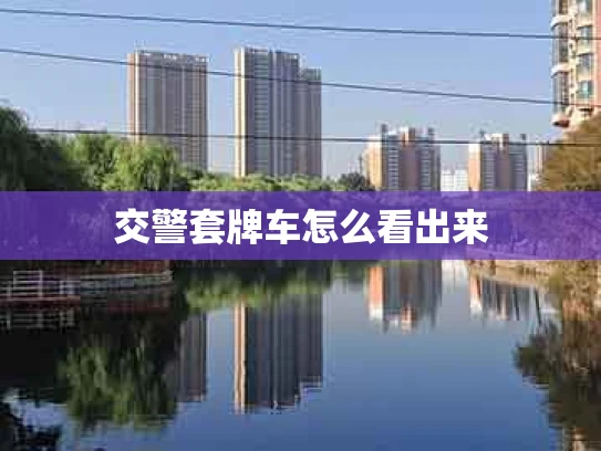 交警套牌车怎么看出来