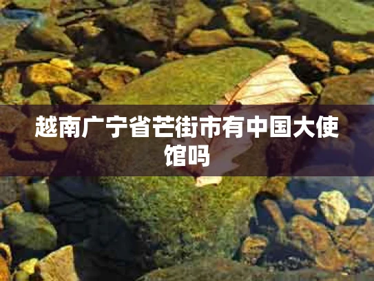 越南广宁省芒街市有中国大使馆吗