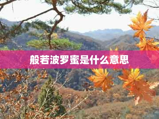 般若波罗蜜是什么意思