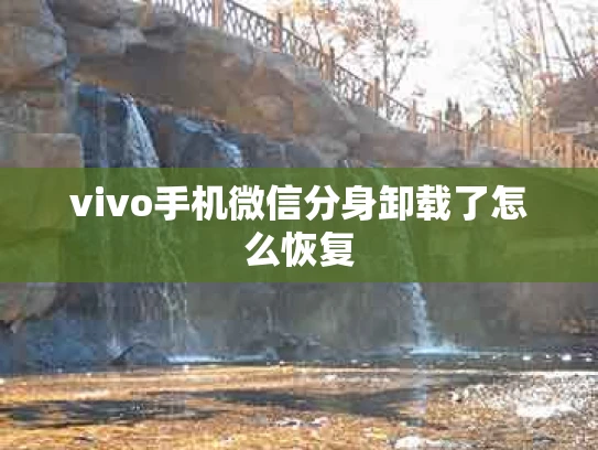 vivo手机微信分身卸载了怎么恢复