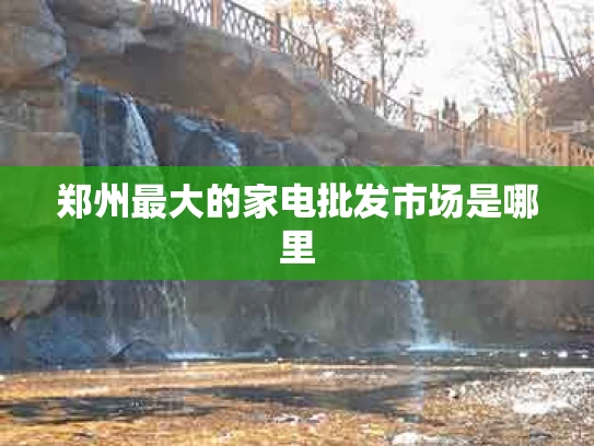 郑州最大的家电批发市场是哪里