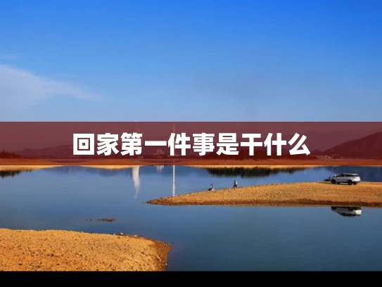 回家第一件事是干什么