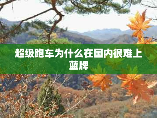 超级跑车为什么在国内很难上蓝牌