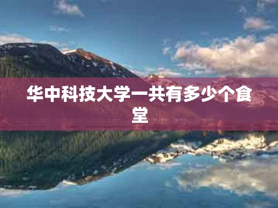 华中科技大学一共有多少个食堂