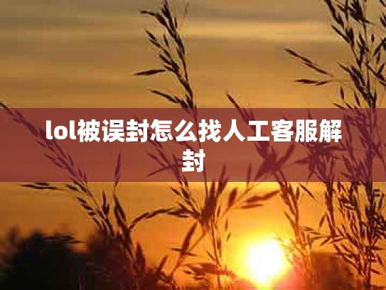 lol被误封怎么找人工客服解封