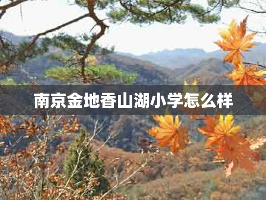 南京金地香山湖小学怎么样