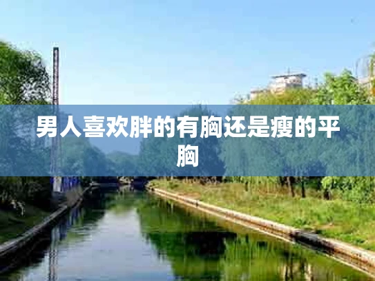 男人喜欢胖的有胸还是瘦的平胸