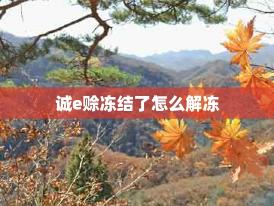 诚e赊冻结了怎么解冻