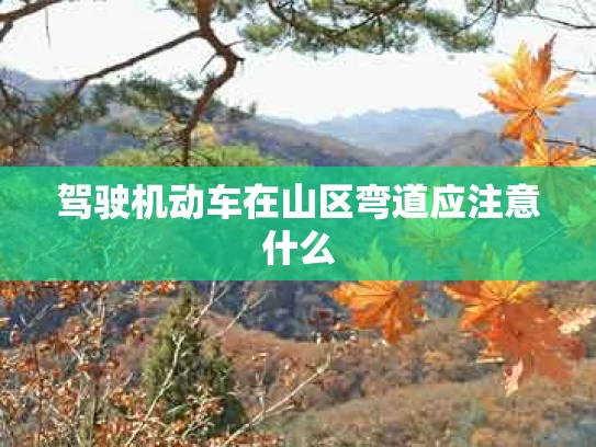 驾驶机动车在山区弯道应注意什么