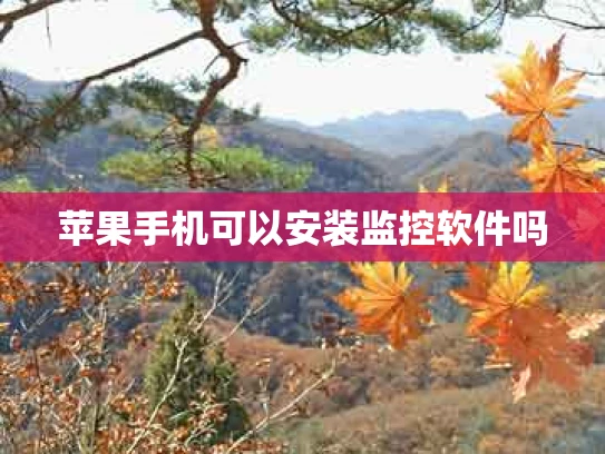 苹果手机可以安装监控软件吗