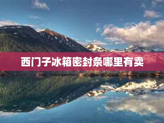 西门子冰箱密封条哪里有卖