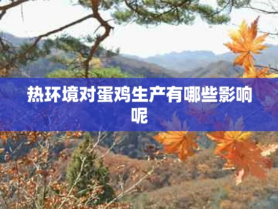 热环境对蛋鸡生产有哪些影响呢