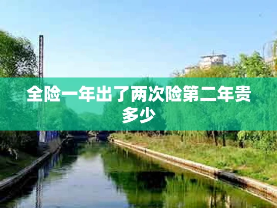 全险一年出了两次险第二年贵多少
