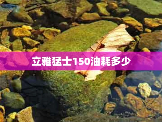立雅猛士150油耗多少