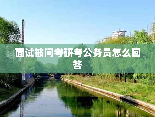 面试被问考研考公务员怎么回答