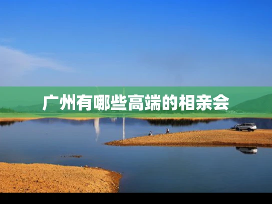 广州有哪些高端的相亲会
