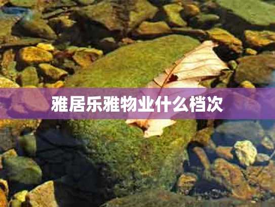 雅居乐雅物业什么档次