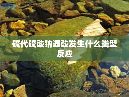 硫代硫酸钠遇酸发生什么类型反应