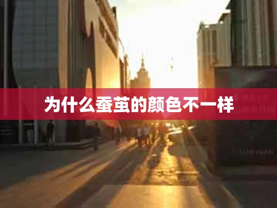 为什么蚕茧的颜色不一样