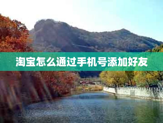 淘宝怎么通过手机号添加好友