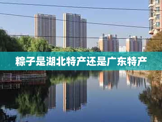 粽子是湖北特产还是广东特产