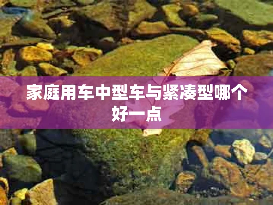 家庭用车中型车与紧凑型哪个好一点