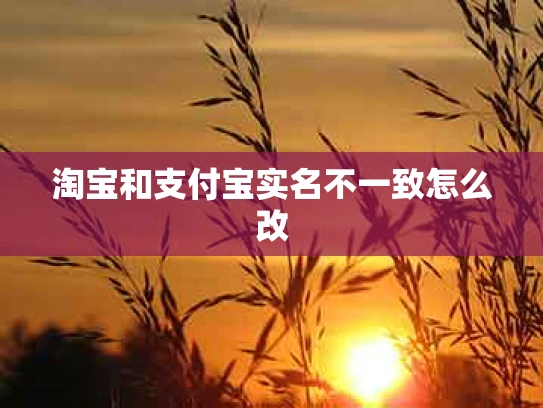 淘宝和支付宝实名不一致怎么改