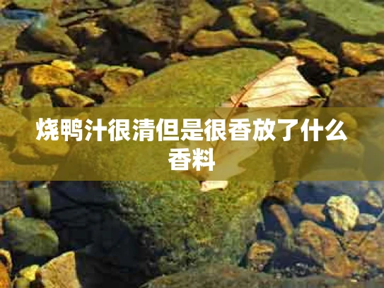 烧鸭汁很清但是很香放了什么香料