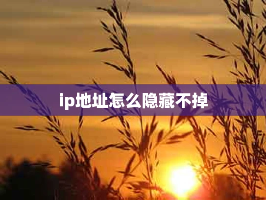 ip地址怎么隐藏不掉