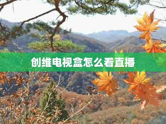 创维电视盒怎么看直播