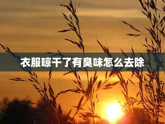 衣服晾干了有臭味怎么去除