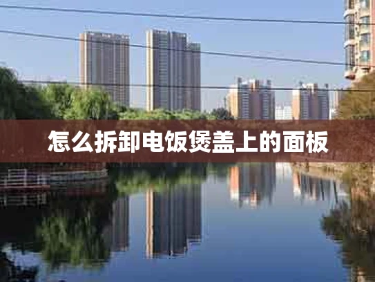 怎么拆卸电饭煲盖上的面板