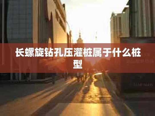 长螺旋钻孔压灌桩属于什么桩型