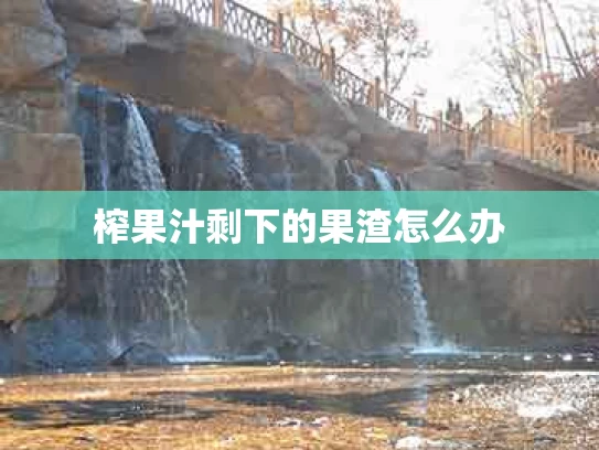 榨果汁剩下的果渣怎么办