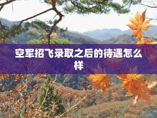 空军招飞录取之后的待遇怎么样