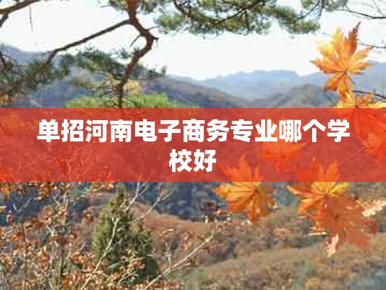 单招河南电子商务专业哪个学校好