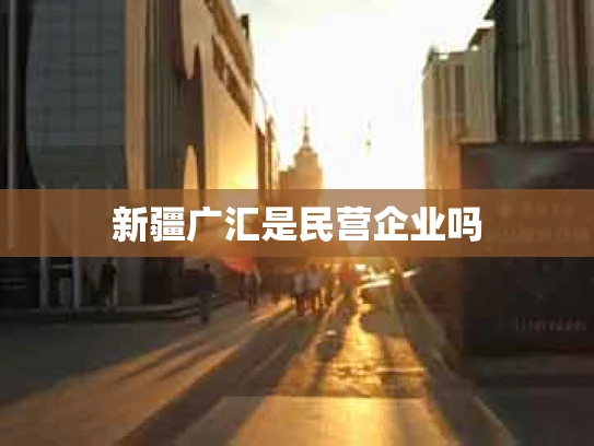 新疆广汇是民营企业吗