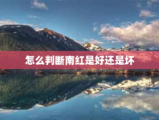 怎么判断南红是好还是坏