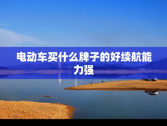 电动车买什么牌子的好续航能力强