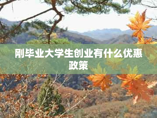 刚毕业大学生创业有什么优惠政策