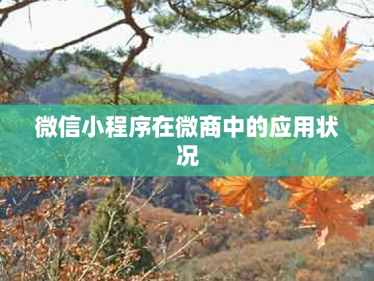 微信小程序在微商中的应用状况