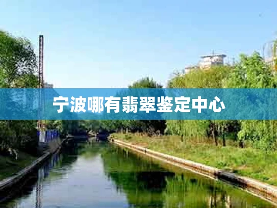 宁波哪有翡翠鉴定中心